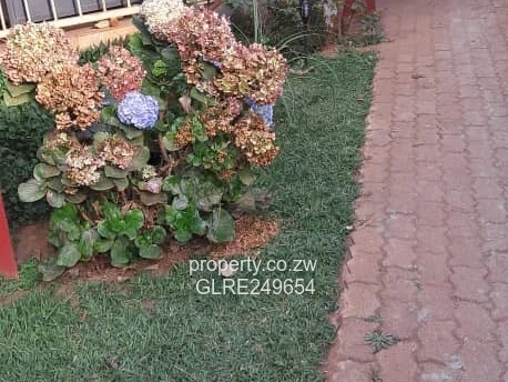 Spacious 5-Bed Home with Borehole in Bloomingdale, Harare West