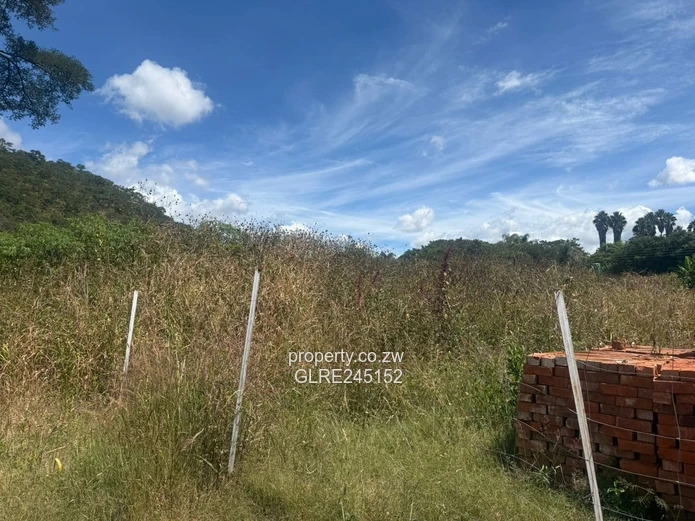 Prime 3,700m² Greystone Park Stand — Subdivision Ready