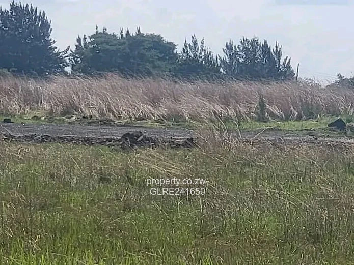 Westgate – Goodhope Stand For Sale.