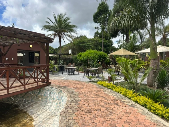 Shop & Retail Property