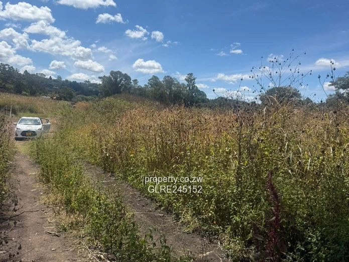 Prime 3,700m² Greystone Park Stand — Subdivision Ready